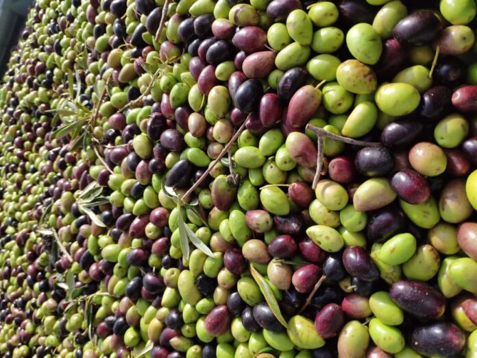 C-LM-convoca-premios-para-empresas-del-sector-agroalimentario-en-produccion.jpg