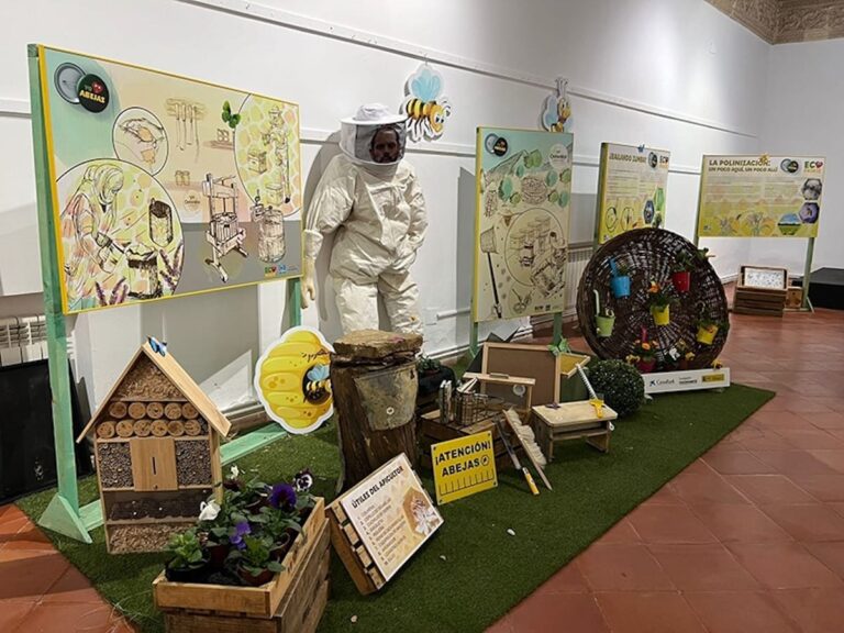 La dulzura de la naturaleza en Almagro: exposición sobre apicultura abre sus puertas en la Universidad Popular
