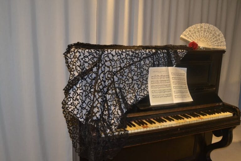 Votaciones abiertas: Museo del Encaje de Almagro opta a Mejor Museo de Cultura Popular