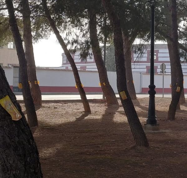 Mantenimiento y Tratamiento Fitosanitario en Zonas Verdes de Almagro