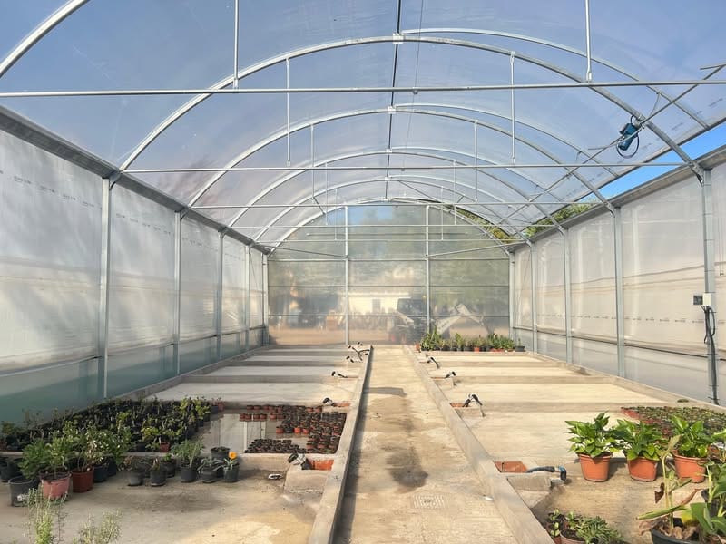 Finalizado el Acondicionamiento del Nuevo Invernadero Municipal de Almagro 1 Finalizado el Acondicionamiento del Nuevo Invernadero Municipal de Almagro - 583906871 907534638267217 2034127166793976397 n