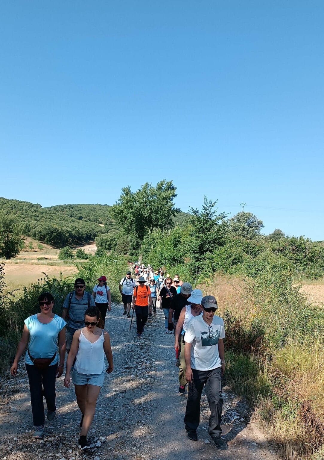 Éxito en las II Jornadas sobre la Guerra Civil en Cogolludo: Más de un Centenar de Asistentes 1 Más de un centenar de personas participaron en las II Jornadas sobre la Guerra Civil organizadas por la Sociedad de Amigos de Cogolludo