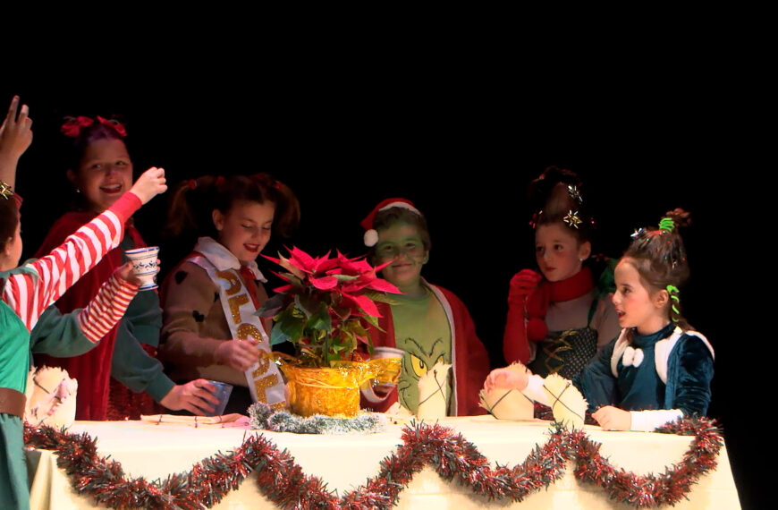 Nueva publicación del Ayuntamiento de Almagro