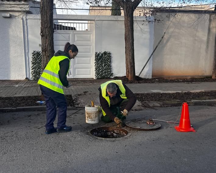 Control de Plagas Urbanas en Almagro: Medidas y Resultados Positivos