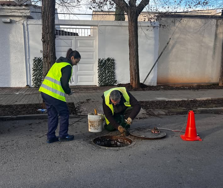 Control de Plagas Urbanas en Almagro: Medidas y Resultados Positivos - 615818275 951254187228595 8040656996790750128 n