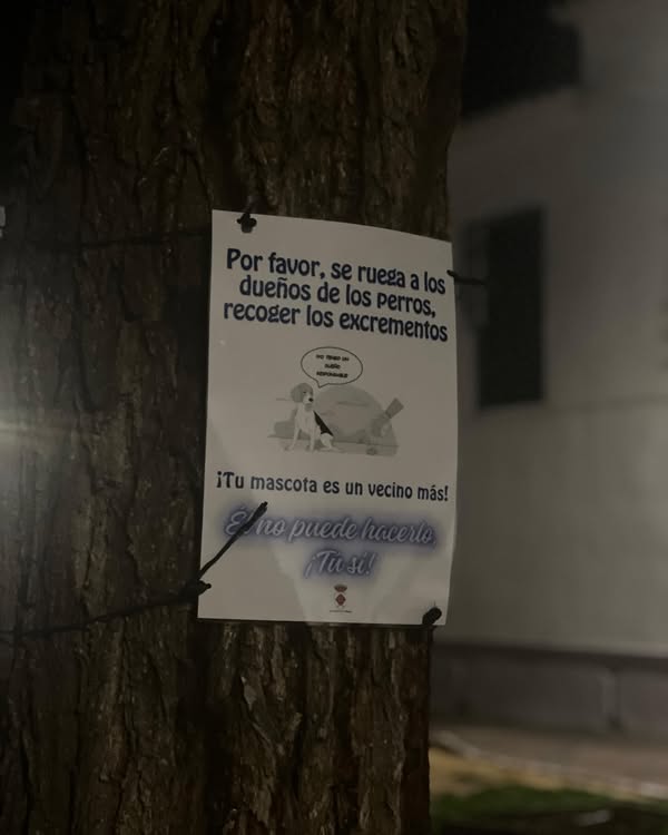 Campaña de Concienciación para Mantener Limpias las Calles de Almagro 1 Campaña de Concienciación para Mantener Limpias las Calles de Almagro - 645772915 990642663289747 3043367744054766068 n