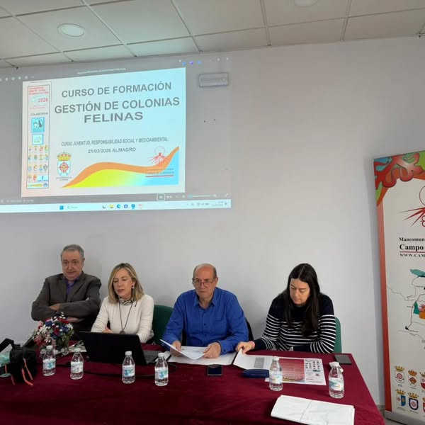 Almagro impulsa formación en gestión de colonias felinas y bienestar animal 1 Almagro impulsa formación en gestión de colonias felinas y bienestar animal - 656029942 18244863583305421 8635399984408828204 n.webp