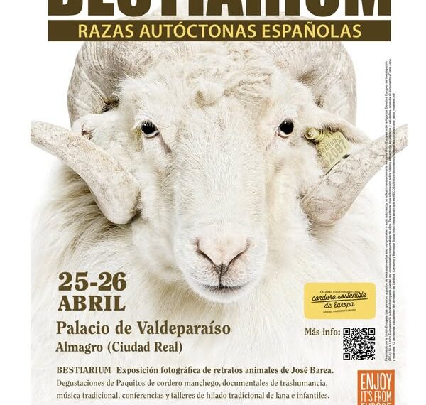 Experiencia Cultural Única en Almagro: Arte, Tradición y Mundo Rural