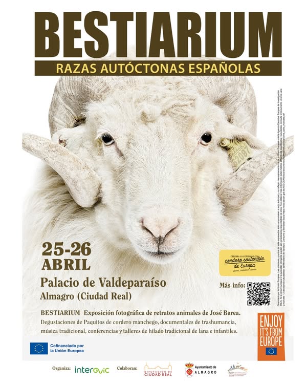 Experiencia Cultural Única en Almagro: Arte, Tradición y Mundo Rural - 678108217 1033083655712314 3768458441919496629 n