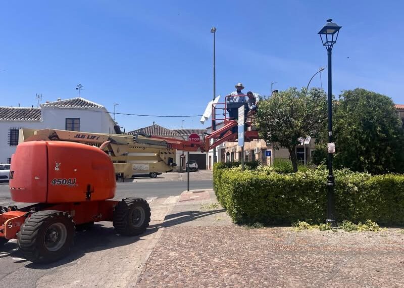 Continúan las labores de poda en aligustres de la zona de Las Calatravas en Almagro