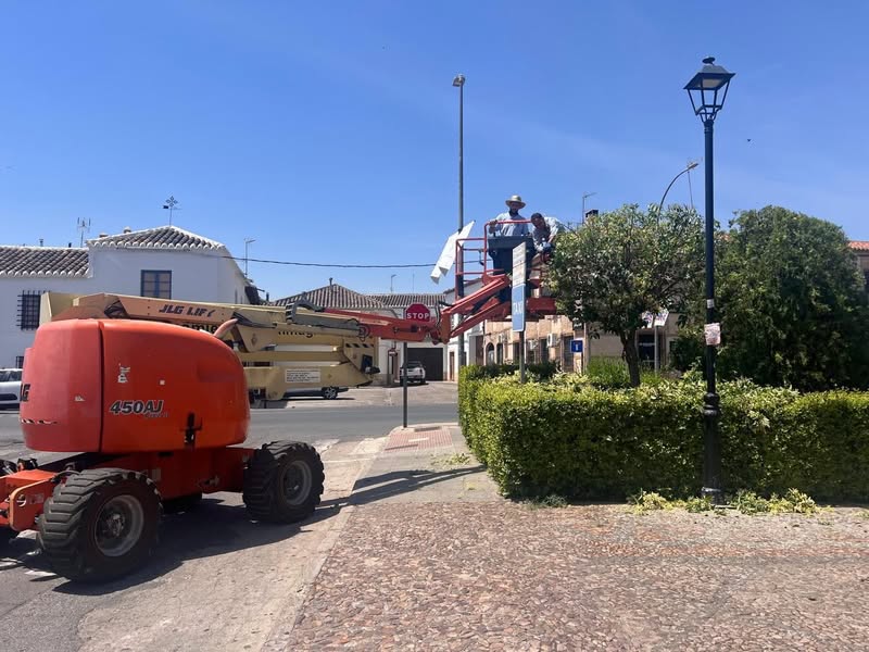 Continúan las labores de poda en aligustres de la zona de Las Calatravas en Almagro - 721297154 18255037615305421 2732595783729037442 n